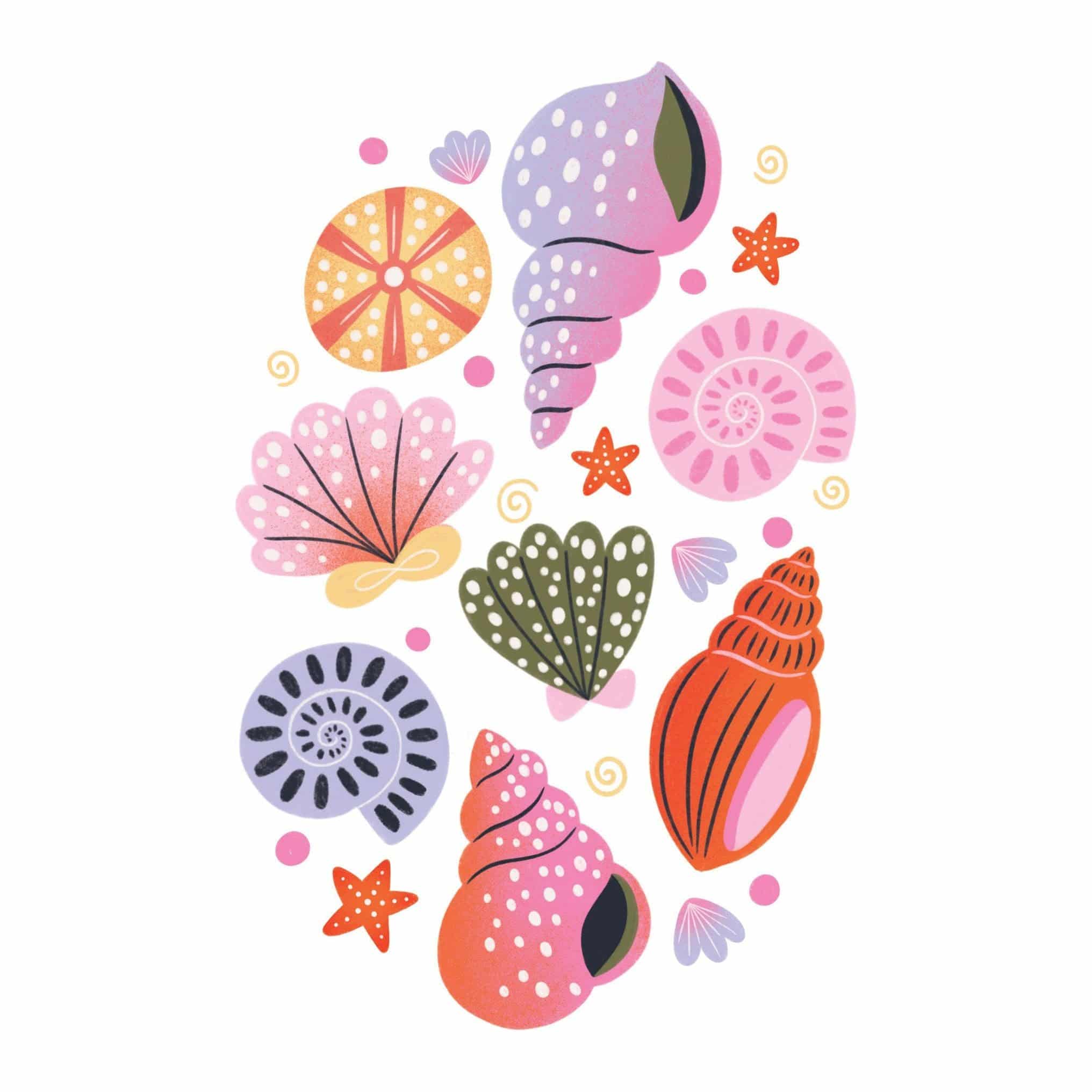 Pictura Beach Shells blank note card with seaside shell illustrations, perfect for everyday correspondence.